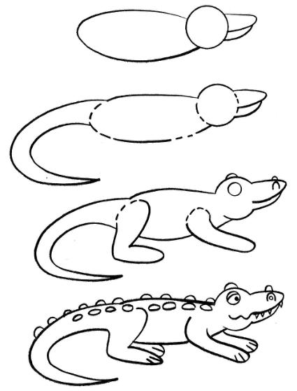 How to draw alligators by pencil