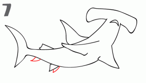 How to draw a hammerhead shark .Step by step Drawing lesson for kids.